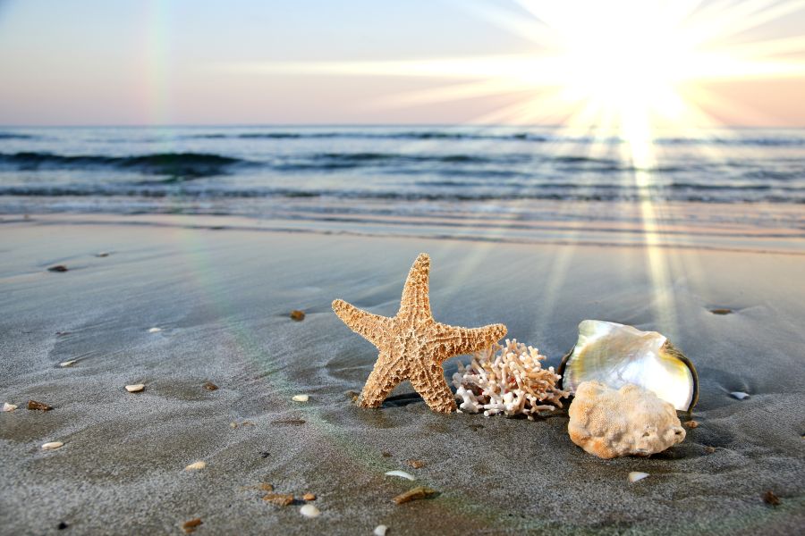 Картина на холсте Море, песок, ракушки, арт hd0495201