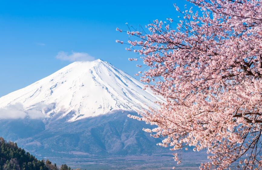 Картина на холсте Гора Фудзи и сакура, арт hd0727901