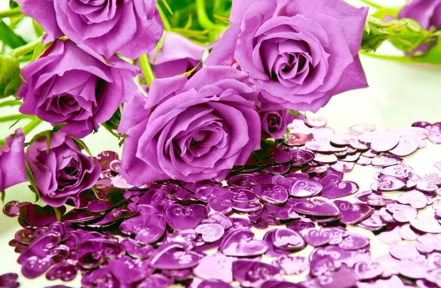 Картина на холсте фиолетовые розы, арт hd0650601
