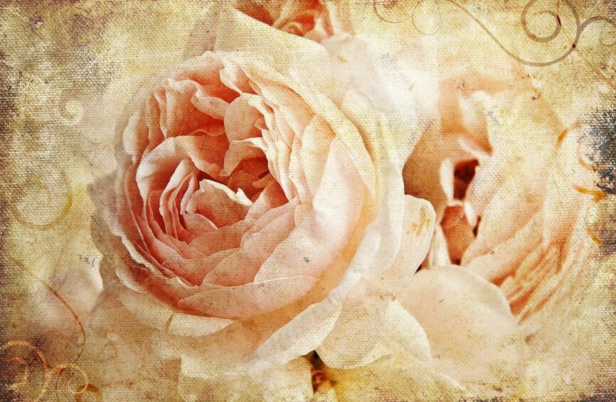 Картина на холсте панно на стену розы, арт hd0689501