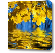 Картина Осенние листья над водой