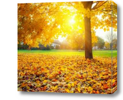Картина Осеннее солнце в парке