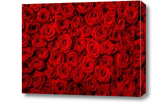 Картина Ковер из алых роз