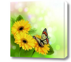 Картина Цветы и бабочка