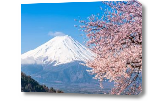 Картина Гора Фудзи и сакура