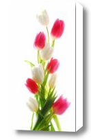 Картина Букет тюльпанов