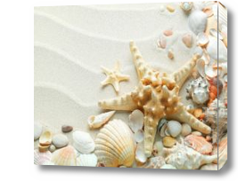 Картина 3D морская звезда и ракушки