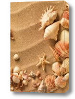 Картина ракушки на песке