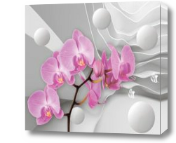 Картина Розовые орхидеи