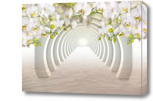 Картина Белый 3D тоннель с орхидеями